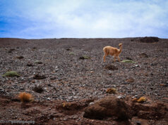 Laguna Brava, un rincón misterioso de La Rioja