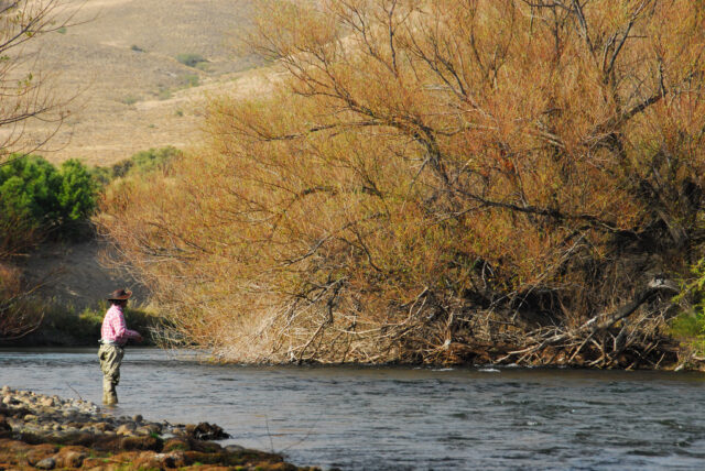 Pesca con mosca