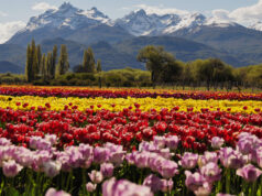 ¡Feliz día del Turismo! Te invitamos a pasear en fotos
