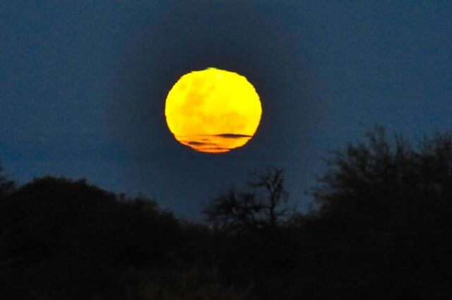 Luz de la luna