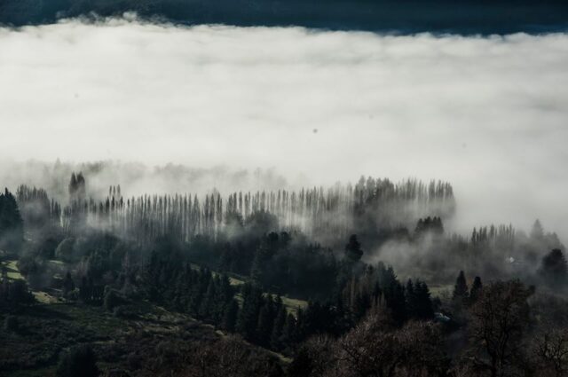 panorámica