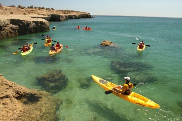 kayak