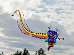 Cinco clásicos para recibir la primavera