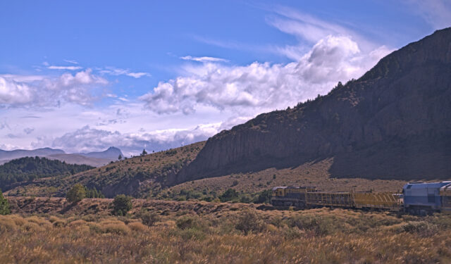 Tren Patagónico