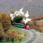 paseo en otoño