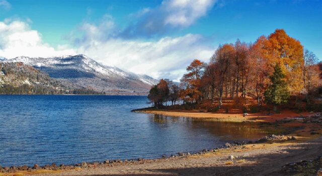 Parque Nacional Lanin