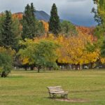 Primeras postales del otoño