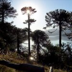 Secretaria de Turismo Aluminé