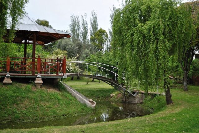cañuelos
