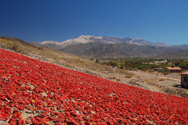 salta_cachi_pueblo_christian_vitry_16