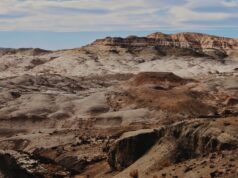 En el Día de los Bosques, visitamos este que es muy particular