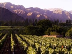 Salta: te contamos cómo aprovecharla en cuatro días