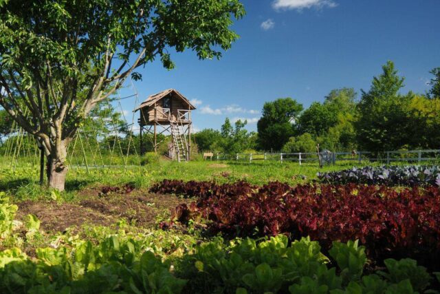 eco yoga park