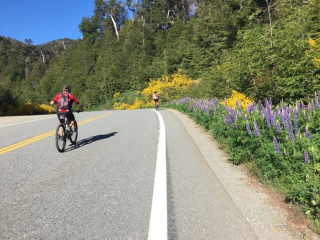 portada bici