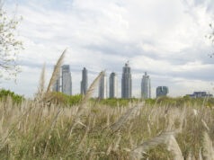 Buenos Aires verde: cuatro lugares para respirar naturaleza
