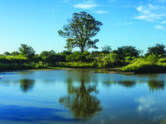 Santa Fe: ocho paradas hermosas sobre la Ruta 11