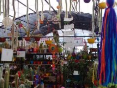 ¿Te gustan los cactus? Aquí, un rincón con miles en las sierras