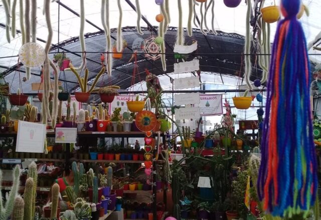 WhatsApp Image 2019-03-15 at 09.43.27