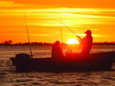 Ruta 1: la costa del norte de Santa Fe en ocho paradas
