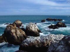 Motivos para ir a la Galápagos de la Patagonia