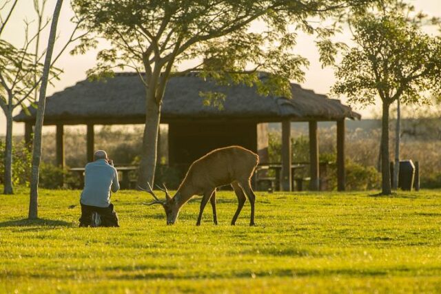parque iberá