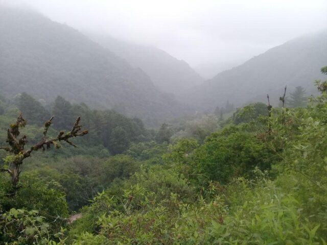 JUJUY CUATRO