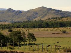 Alpa Corral, un rincón para el relax en Córdoba