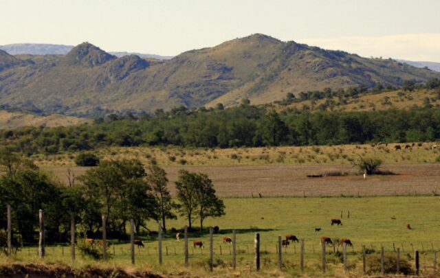Alpa Corral