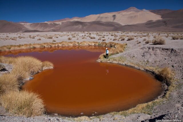 Laguna roja catamarca