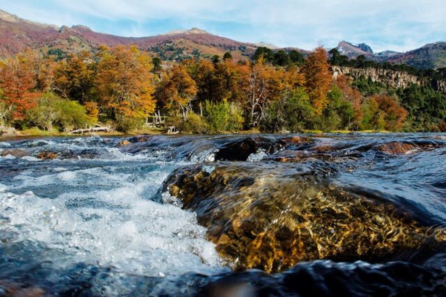Patagonia