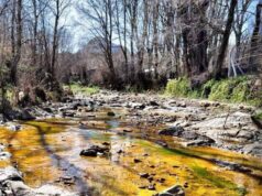 El pueblo que tuvo la fiebre del oro en San Luis