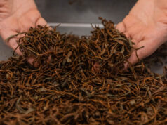 Dicen que el mejor té del mundo está acá…