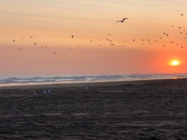 necochea 2