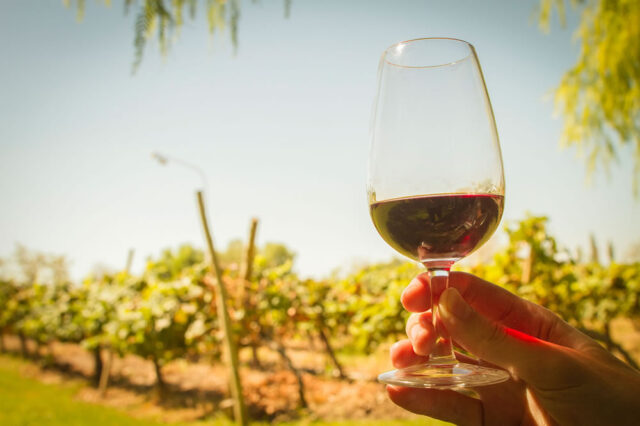 DegustaciondeVino