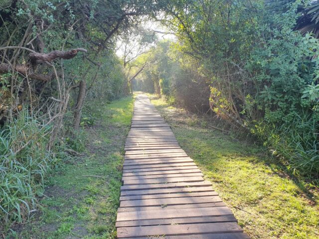 Montecito de Lovera (Cerrito)