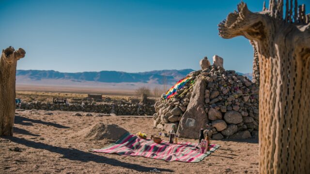 297117596_4957768877662505_7936021028561991565_n