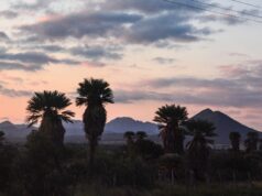 Seguimos de viaje. Hoy: Córdoba en cinco postales