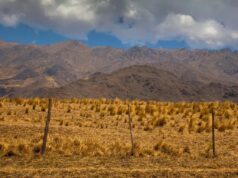 Flashes desde los valles calchaquíes